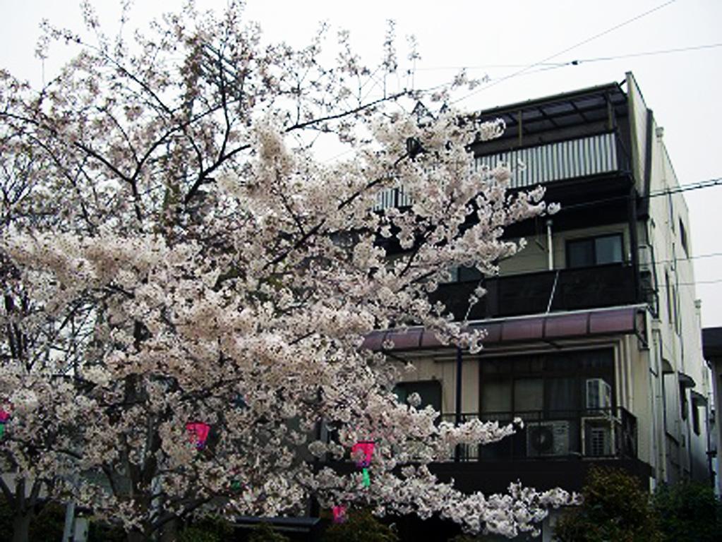 W.K Inn Osaka Dış mekan fotoğraf
